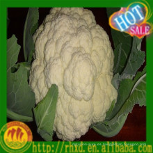 Venta caliente de la coliflor fresca de China 2015 / precio blanco del bróculi / de la coliflor